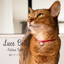 画像をギャラリービューアに読み込む, ルーチェ ベル ラタンボール |necono(ネコノ)