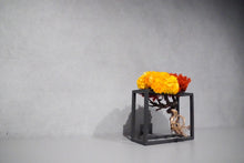 画像をギャラリービューアに読み込む, re盆栽85|TOUFU TOKYO(トウフトウキョウ)