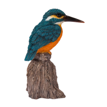 画像をギャラリービューアに読み込む, 切り株に立つ鳴くカワセミ|WooBia(ウービア)