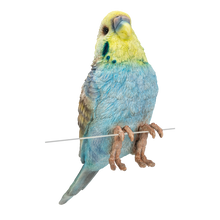 画像をギャラリービューアに読み込む, 縁飾り 水色セキセイインコ|WooBia(ウービア)