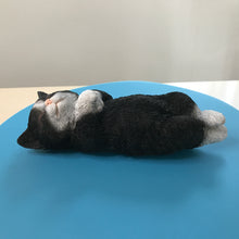 画像をギャラリービューアに読み込む, へそ天 ハチワレ黒白猫|WooBia(ウービア)