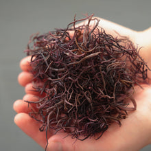 画像をギャラリービューアに読み込む, のげのり|銚子たかね(チョウシタカネ)