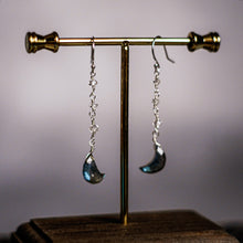 画像をギャラリービューアに読み込む, 月明かりに照らされて|etoile(エトワール)