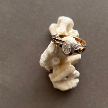 画像をギャラリービューアに読み込む, PRECIOUS IN THE ROCK(07)|Truph.BIJOUX(トリュフビジュー)