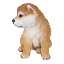 画像をギャラリービューアに読み込む, 右向きお座り秋田犬|WooBia(ウービア)