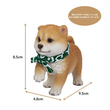 画像をギャラリービューアに読み込む, 足を上げる豆しば|WooBia(ウービア)