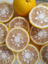 画像をギャラリービューアに読み込む, 柚子と梅のマーマレード|クラフトジャム Chez.BonBon(クラフトジャム シェボンボン)