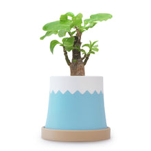 画像をギャラリービューアに読み込む, 富士山ポット&マンホール風受け皿|node(ノード)