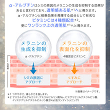 画像をギャラリービューアに読み込む, WTエッセンスSP|JLP(ジェイエルピー)