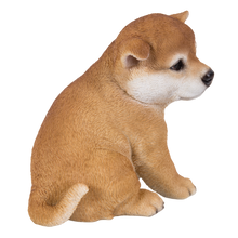 画像をギャラリービューアに読み込む, 右向きお座り秋田犬|WooBia(ウービア)