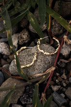 画像をギャラリービューアに読み込む, SCENT(frP-09)|Forest percent(フォレストパーセント)