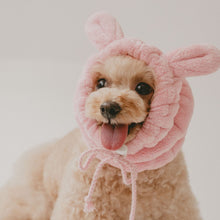 画像をギャラリービューアに読み込む, うちのこのためのスヌード|HAHONICO(ハホニコ)