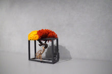 画像をギャラリービューアに読み込む, re盆栽85|TOUFU TOKYO(トウフトウキョウ)