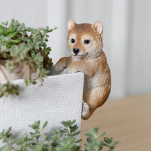 画像をギャラリービューアに読み込む, 縁飾り 柴犬|WooBia(ウービア)