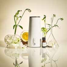 画像をギャラリービューアに読み込む, ジンジャーリリーティー アロマディフューザー専用フレグランスオイル(10ml)|BÉLAIR LAB(ベレアラボ)