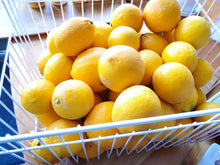 画像をギャラリービューアに読み込む, 海と太陽のレモンマーマレード|Le Café de Pomme(ル カフェ ドゥ ポム)