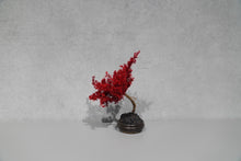 画像をギャラリービューアに読み込む, re盆栽84|TOUFU TOKYO(トウフトウキョウ)