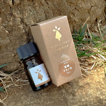 画像をギャラリービューアに読み込む, 日本の木のアロマ エッセンシャルオイル 宮崎クスノキ|MOKULABO fragrance(モクラボフレグランス)