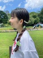 画像をギャラリービューアに読み込む, リーフクリップセット|aK(エーケイ)