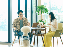 画像をギャラリービューアに読み込む, 【ペット同伴可ホテルセレクション】ペア宿泊カタログギフト: 200+施設〜|ANATAE(アナタエ)