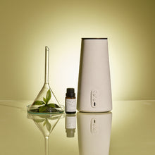 画像をギャラリービューアに読み込む, シィンギング シンチャ アロマディフューザー専用フレグランスオイル(15ml)|BÉLAIR LAB(ベレアラボ)