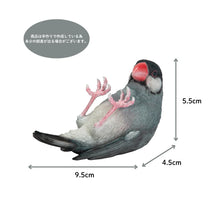 画像をギャラリービューアに読み込む, 文鳥ペンホルダー|WooBia(ウービア)