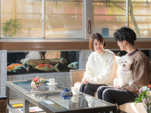 画像をギャラリービューアに読み込む, 【ペット同伴可ホテルセレクション】ペア宿泊カタログギフト: 200+施設〜|ANATAE(アナタエ)