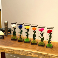 画像をギャラリービューアに読み込む, カド― ~ FUSION ROSE ~ PINK|GINZA SOBI FLOWERS(ギンザ ソビ フラワーズ)
