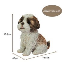 画像をギャラリービューアに読み込む, 頭を上げるシーズー|WooBia(ウービア)