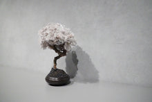 画像をギャラリービューアに読み込む, re盆栽91|TOUFU TOKYO(トウフトウキョウ)