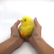 画像をギャラリービューアに読み込む, チャーム ひよこ ベビーアルパカ100% ペルー職人手仕事・一点もの|RUNA SHOP(ルナショップ)