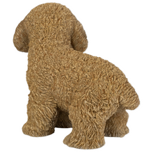 画像をギャラリービューアに読み込む, 右向きに立つトイプードル(アプリコット)|WooBia(ウービア)