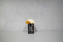 画像をギャラリービューアに読み込む, re盆栽88|TOUFU TOKYO(トウフトウキョウ)