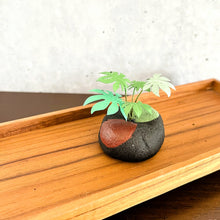 画像をギャラリービューアに読み込む, 炭団オブジェ/南国風リーフをあなたの空間に〜2|櫂の炭(カイノスミ)