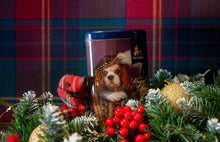 画像をギャラリービューアに読み込む, RICHARD(リチャード)ザ・ロイヤル・ドッグス(スパニエル)缶入り セイロン紅茶34g|FREA(フレア)