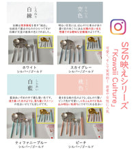 画像をギャラリービューアに読み込む, cesa beams カトラリーセット 食洗機対応 プラチナシリーズ5本|Cesa Beams(セザビームズ)