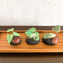 画像をギャラリービューアに読み込む, 炭団オブジェ/南国風リーフをあなたの空間に〜1|櫂の炭(カイノスミ)