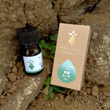 画像をギャラリービューアに読み込む, 日本の木のアロマ エッセンシャルオイル 東濃ヒノキ|MOKULABO fragrance(モクラボフレグランス)