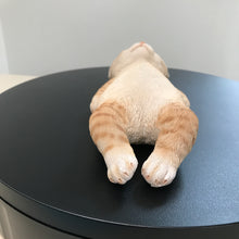 画像をギャラリービューアに読み込む, へそ天 茶トラ猫|WooBia(ウービア)