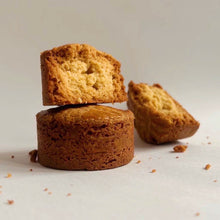 画像をギャラリービューアに読み込む, ガレット・ブルトンヌのギフトボックス|Dinosaur Tree(ダイナソーツリー)