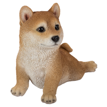 画像をギャラリービューアに読み込む, ストレッチ柴犬|WooBia(ウービア)