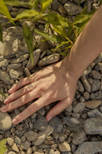 画像をギャラリービューアに読み込む, SCENT(frR-12)|Forest percent(フォレストパーセント)