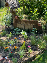 画像をギャラリービューアに読み込む, AUTUMN CREAM HONEY(350g)|LITTLE FARMETTE(リトルファーメット)