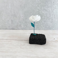 画像をギャラリービューアに読み込む, 炭団オブジェ / □+白|櫂の炭(カイノスミ)