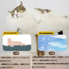 画像をギャラリービューアに読み込む, 【雲にのる】 3段無垢材天然木キャットタワー (ホワイト)|MyUnipet(マイユニペット)