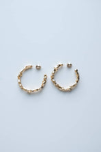 画像をギャラリービューアに読み込む, SCENT(frP-09)|Forest percent(フォレストパーセント)