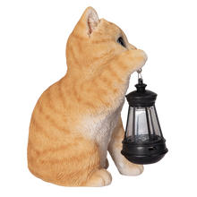 画像をギャラリービューアに読み込む, ソーラーランプを右手で持ち上げる茶トラ猫|WooBia(ウービア)