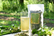 画像をギャラリービューアに読み込む, リラックス|箱根山麓ハーブTreize13(ハコネサンロクハーブトレーズ)