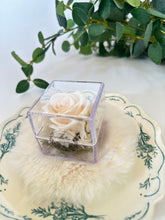 画像をギャラリービューアに読み込む, memorialflower(ケース入り)|atelier violetta(アトリエ ヴィオレッタ)