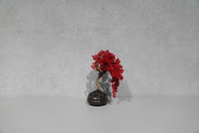 画像をギャラリービューアに読み込む, re盆栽83|TOUFU TOKYO(トウフトウキョウ)